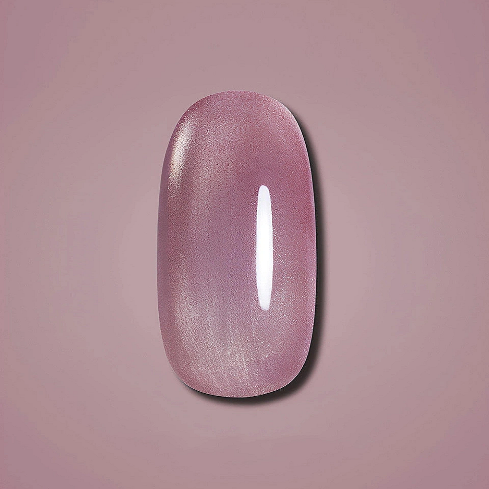 Dark Gel Polish Cat Eye №13